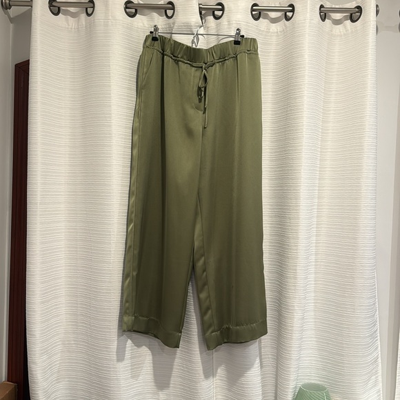 Song of Style Revolve Tevis Green Silk Pant - Picture 4 of 6